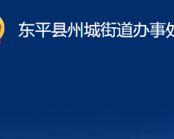 東平縣州城街道辦事處政務(wù)服務(wù)網(wǎng)