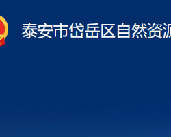 泰安市岱岳區(qū)自然資源局