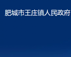 肥城市王莊鎮(zhèn)人民政府