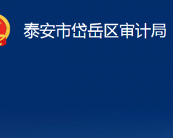 泰安市岱岳區(qū)審計局