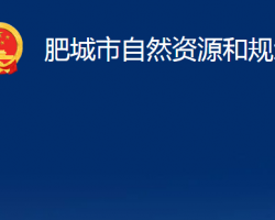 肥城市自然資源和規(guī)劃局