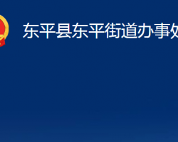 東平縣東平街道辦事處政務(wù)服務(wù)網(wǎng)