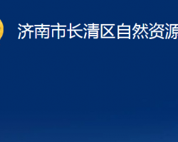 濟(jì)南市長(zhǎng)清區(qū)自然資源局