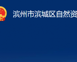 濱州市濱城區(qū)自然資源局