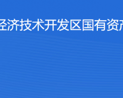 湛江經(jīng)濟技術開發(fā)區(qū)國有資