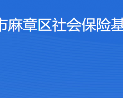 湛江市麻章區(qū)社會保險基金