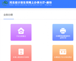 廊坊市計劃生育網(wǎng)上辦事大廳入口