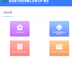 邢臺市計劃生育網(wǎng)上辦事大廳入口