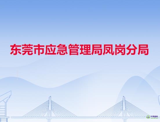 東莞市應急管理局鳳崗分局