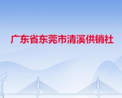 廣東省東莞市清溪供銷社