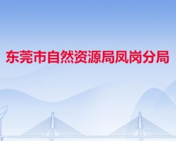 東莞市自然資源局鳳崗分局