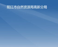 陽江市自然資源局高新分局