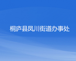 桐廬縣鳳川街道辦事處網(wǎng)上辦事大廳