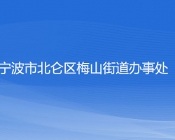 寧波市北侖區(qū)梅山街道辦事處