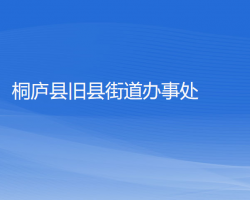 桐廬縣舊縣街道辦事處網(wǎng)上辦事大廳