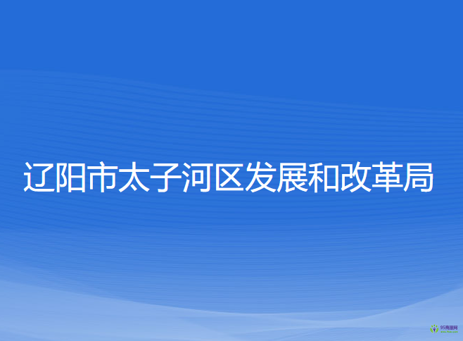 遼陽市太子河區(qū)發(fā)展和改革局