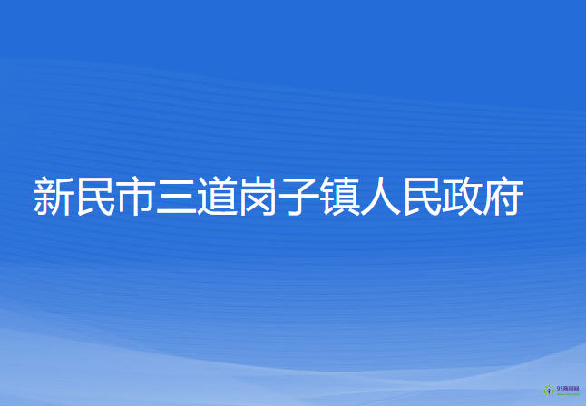 新民市三道崗子鎮(zhèn)人民政府