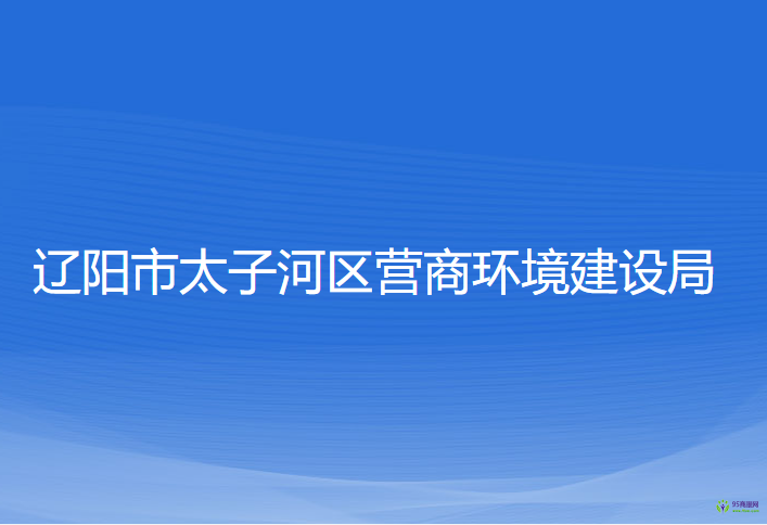 遼陽市太子河區(qū)營商環(huán)境建設(shè)局