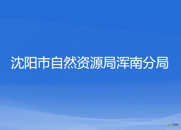 沈陽市自然資源局渾南分局