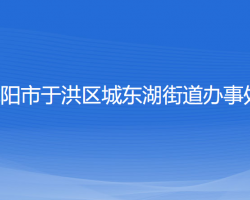 沈陽市于洪區(qū)城東湖街道辦事處