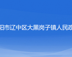 沈陽(yáng)市遼中區(qū)大黑崗子鎮(zhèn)人民政府