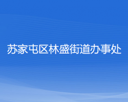 沈陽市蘇家屯區(qū)林盛街道辦事處