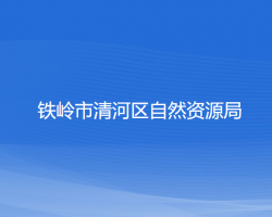 鐵嶺市清河區(qū)自然資源局