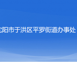 沈陽市于洪區(qū)平羅街道辦事處