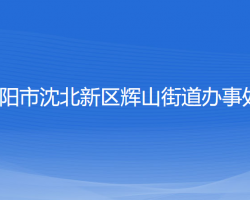 沈陽市沈北新區(qū)輝山街道辦事處