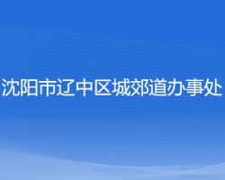 沈陽(yáng)市遼中區(qū)城郊道辦事處