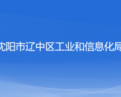 沈陽(yáng)市遼中區(qū)工業(yè)和信息化