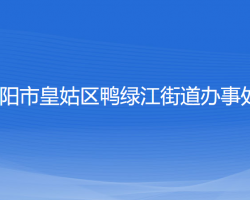 沈陽市皇姑區(qū)鴨綠江街道辦事處