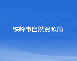 鐵嶺市自然資源局