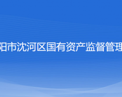 沈陽(yáng)市沈河區(qū)國(guó)有資產(chǎn)監(jiān)督