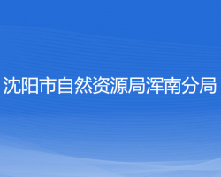 沈陽(yáng)市自然資源局渾南分局