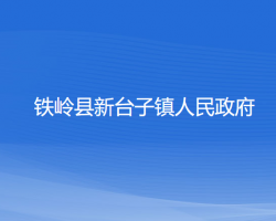 鐵嶺縣新臺(tái)子鎮(zhèn)人民政府