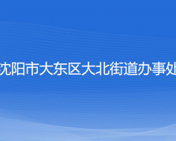 沈陽(yáng)市大東區(qū)大北街道辦事處