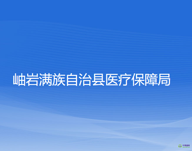 岫巖滿族自治縣醫(yī)療保障局