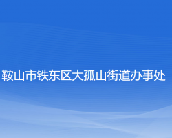 鞍山市鐵東區(qū)大孤山街道辦事處