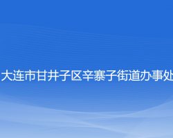 大連市甘井子區(qū)辛寨子街道辦事處