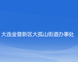 大連金普新區(qū)大孤山街道辦事處