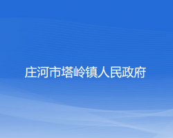 莊河市塔嶺鎮(zhèn)人民政府