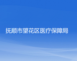 撫順市望花區(qū)醫(yī)療保障局