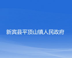 新賓縣大四平鎮(zhèn)人民政府