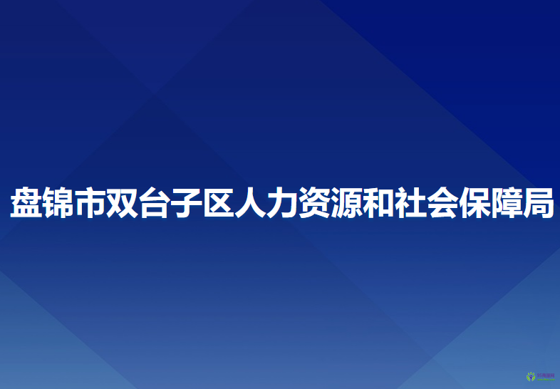 盤錦市雙臺子區(qū)人力資源和社會保障局