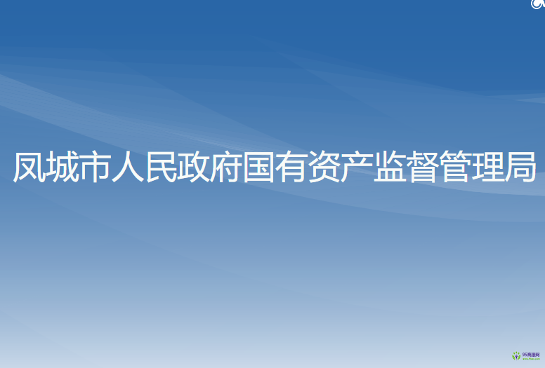 鳳城市人民政府國(guó)有資產(chǎn)監(jiān)督管理局