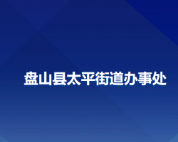 盤山縣太平街道辦事處政務服務網(wǎng)