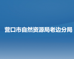 營(yíng)口市自然資源局老邊分局