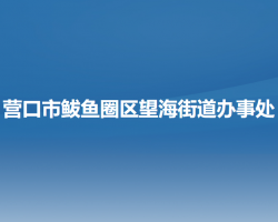 營口市鲅魚圈區(qū)望海街道辦事處