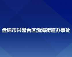 盤錦市興隆臺(tái)區(qū)渤海街道辦事處